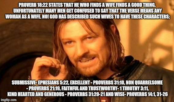 One Does Not Simply Meme | PROVERB 18:22 STATES THAT HE WHO FINDS A WIFE FINDS A GOOD THING. UNFORTUNATELY MANY MEN GET CONFUSED TO SAY THAT THE VERSE MEANS ANY WOMAN AS A WIFE. NO! GOD HAS DESCRIBED SUCH WIVES TO HAVE THESE CHARACTERS;; SUBMISSIVE- EPHESIANS 5:22, EXCELLENT - PROVERBS 31:10, NON QUARRELSOME - PROVERBS 21:19, FAITHFUL AND TRUSTWORTHY- 1 TIMOTHY 3:11, KIND HEARTED AND GENEROUS - PROVERBS 31:20-21 AND WISE- PROVERBS 14:1, 31-26 | image tagged in memes,one does not simply | made w/ Imgflip meme maker