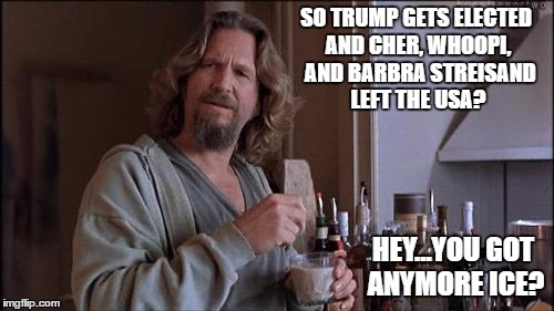 Big Lebowski Dude | SO TRUMP GETS ELECTED AND CHER, WHOOPI,  AND BARBRA STREISAND LEFT THE USA? HEY...YOU GOT ANYMORE ICE? | image tagged in big lebowski dude | made w/ Imgflip meme maker