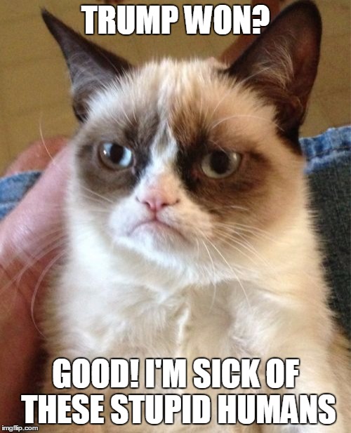 Grumpy Cat Meme | TRUMP WON? GOOD! I'M SICK OF THESE STUPID HUMANS | image tagged in memes,grumpy cat | made w/ Imgflip meme maker
