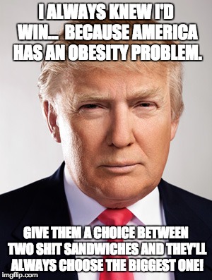 Donald Trump explains his win |  I ALWAYS KNEW I'D WIN...  BECAUSE AMERICA HAS AN OBESITY PROBLEM. GIVE THEM A CHOICE BETWEEN TWO SH!T SANDWICHES AND THEY'LL ALWAYS CHOOSE THE BIGGEST ONE! | image tagged in donald trump,trump,us election,2016,us election 2016,hillary | made w/ Imgflip meme maker