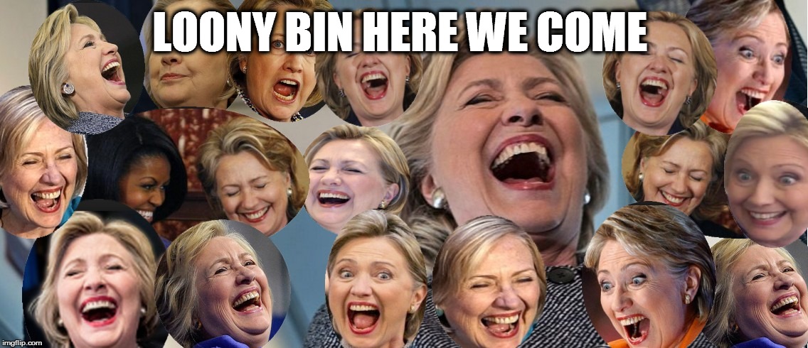 Hillary fruitcake  | LOONY BIN HERE WE COME | image tagged in hillary fruitcake | made w/ Imgflip meme maker