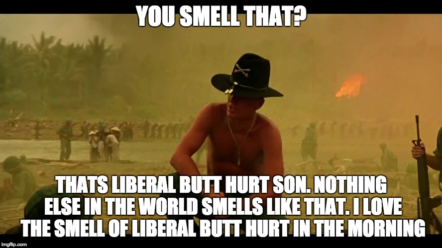 YOU SMELL THAT? THATS LIBERAL BUTT HURT SON. NOTHING ELSE IN THE WORLD SMELLS LIKE THAT. I LOVE THE SMELL OF LIBERAL BUTT HURT IN THE MORNING | image tagged in liberal naplam | made w/ Imgflip meme maker