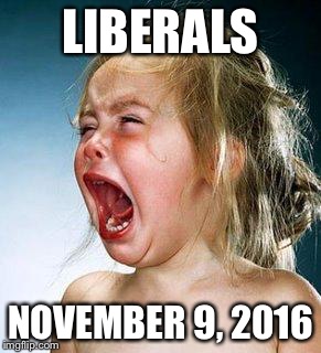 crying girl |  LIBERALS; NOVEMBER 9, 2016 | image tagged in crying girl | made w/ Imgflip meme maker
