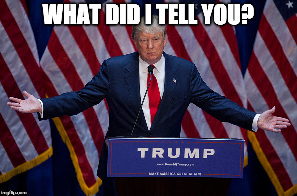 Donald Trump | WHAT DID I TELL YOU? | image tagged in donald trump | made w/ Imgflip meme maker