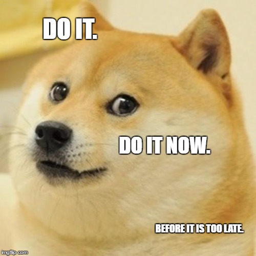 Doge Meme | DO IT. DO IT NOW. BEFORE IT IS TOO LATE. | image tagged in memes,doge | made w/ Imgflip meme maker