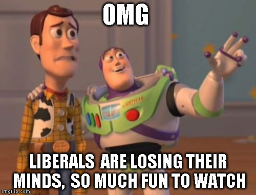 X, X Everywhere Meme | OMG; LIBERALS  ARE LOSING THEIR MINDS,  SO MUCH FUN TO WATCH | image tagged in memes,x x everywhere | made w/ Imgflip meme maker