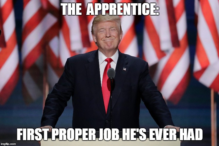 He's hired. | THE  APPRENTICE:; FIRST PROPER JOB HE'S EVER HAD | image tagged in donald trump,president 2016,shock,applecart,upset | made w/ Imgflip meme maker