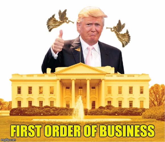 Make America Gold again | FIRST ORDER OF BUSINESS | image tagged in memes,donald trump,white house | made w/ Imgflip meme maker