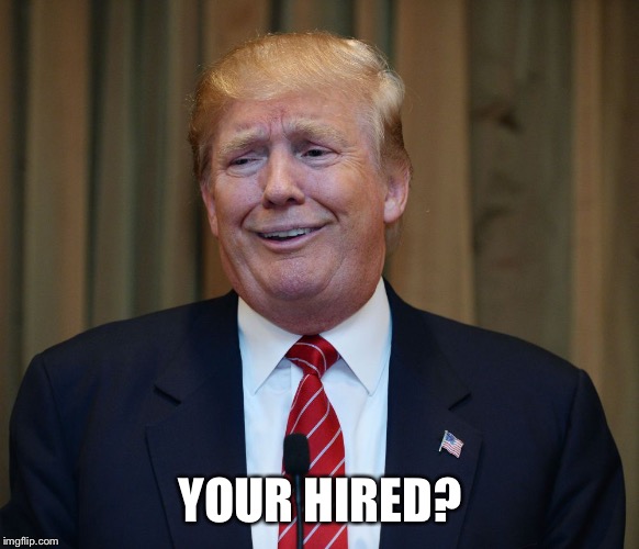 Donald Trump The Art of the Deal | YOUR HIRED? | image tagged in donald trump the art of the deal | made w/ Imgflip meme maker