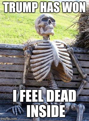 Waiting Skeleton Meme | TRUMP HAS WON; I FEEL DEAD INSIDE | image tagged in memes,waiting skeleton | made w/ Imgflip meme maker