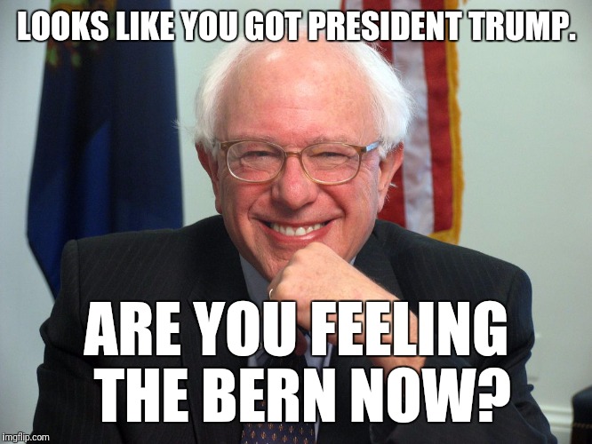 Vote Bernie Sanders | LOOKS LIKE YOU GOT PRESIDENT TRUMP. ARE YOU FEELING THE BERN NOW? | image tagged in vote bernie sanders | made w/ Imgflip meme maker