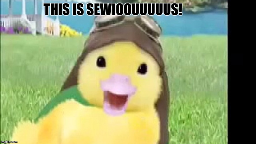 Ming Ming Duck | THIS IS SEWIOOUUUUUS! | image tagged in funny animals | made w/ Imgflip meme maker