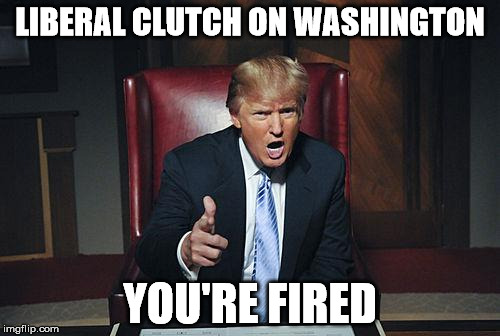 Donald Trump You're Fired | LIBERAL CLUTCH ON WASHINGTON; YOU'RE FIRED | image tagged in donald trump you're fired | made w/ Imgflip meme maker