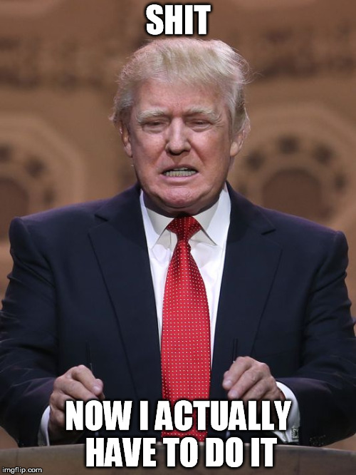 Donald Trump | SHIT; NOW I ACTUALLY HAVE TO DO IT | image tagged in donald trump,memes | made w/ Imgflip meme maker