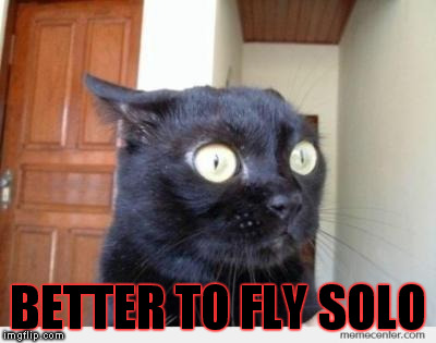 Scared Cat | BETTER TO FLY SOLO | image tagged in scared cat | made w/ Imgflip meme maker