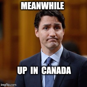 Most folks up here are not amused....but I am..! | MEANWHILE; UP  IN  CANADA | image tagged in justin trudeau,canada,election 2016 | made w/ Imgflip meme maker