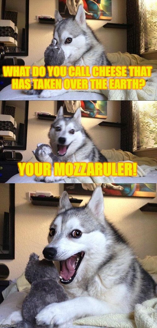 Bow to me, you noncheese SCUM. | WHAT DO YOU CALL CHEESE THAT HAS TAKEN OVER THE EARTH? YOUR MOZZARULER! | image tagged in memes,bad pun dog,cheese,ruler,dank memes,funny memes | made w/ Imgflip meme maker