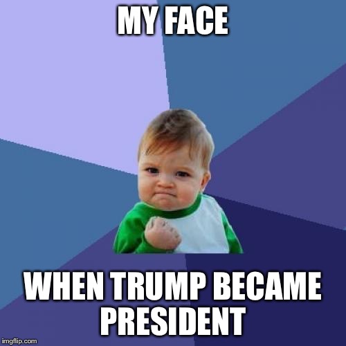 Success Kid | MY FACE; WHEN TRUMP BECAME PRESIDENT | image tagged in memes,success kid | made w/ Imgflip meme maker