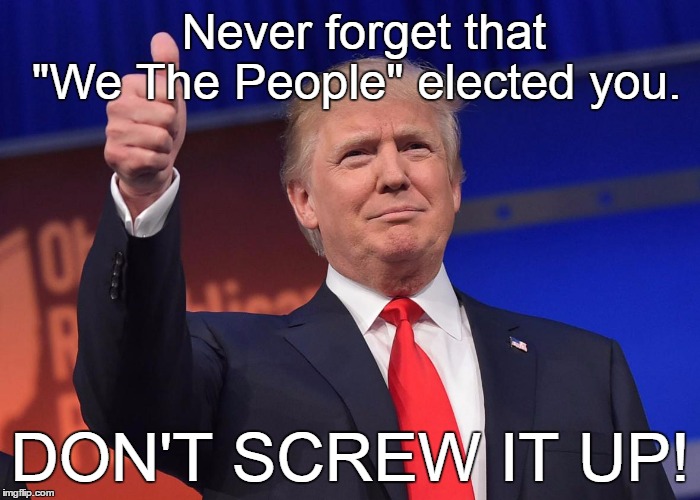 donald trump | Never forget that   "We The People" elected you. DON'T SCREW IT UP! | image tagged in donald trump | made w/ Imgflip meme maker