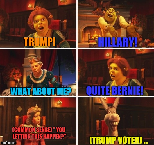 Election 2016 | HILLARY! TRUMP! WHAT ABOUT ME? QUITE BERNIE! (COMMON SENSE) " YOU LETTING THIS HAPPEN?"; (TRUMP VOTER) ... | image tagged in shrek fiona harold donkey | made w/ Imgflip meme maker