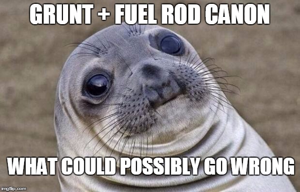Awkward Moment Sealion | GRUNT + FUEL ROD CANON; WHAT COULD POSSIBLY GO WRONG | image tagged in memes,awkward moment sealion | made w/ Imgflip meme maker