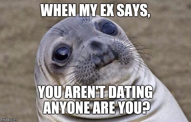 Awkward Moment Sealion Meme | WHEN MY EX SAYS, YOU AREN'T DATING ANYONE ARE YOU? | image tagged in memes,awkward moment sealion | made w/ Imgflip meme maker