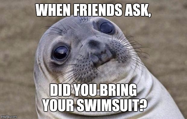 Awkward Moment Sealion | WHEN FRIENDS ASK, DID YOU BRING YOUR SWIMSUIT? | image tagged in memes,awkward moment sealion | made w/ Imgflip meme maker