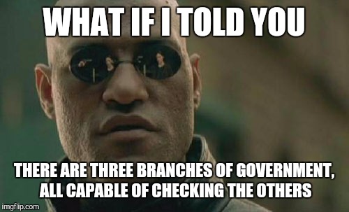 To those freaking out because Trump won | WHAT IF I TOLD YOU; THERE ARE THREE BRANCHES OF GOVERNMENT, ALL CAPABLE OF CHECKING THE OTHERS | image tagged in memes,matrix morpheus | made w/ Imgflip meme maker
