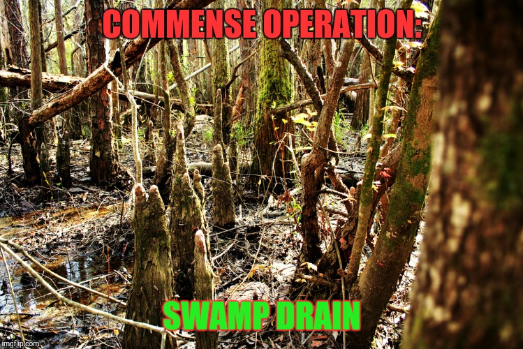 Drain the swamp | COMMENSE OPERATION:; SWAMP DRAIN | image tagged in drain the swamp | made w/ Imgflip meme maker