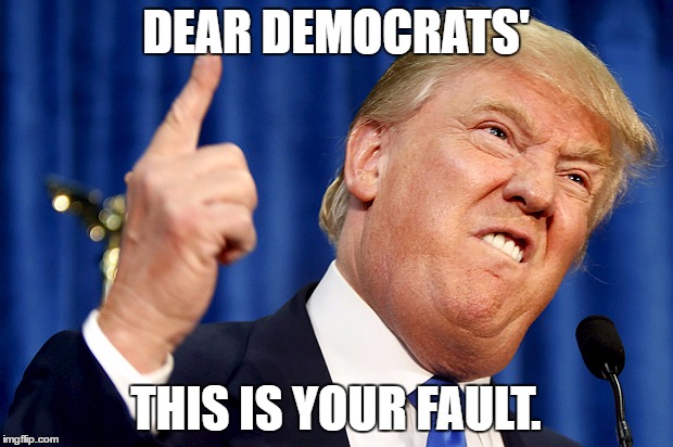 Donald Trump | DEAR DEMOCRATS'; THIS IS YOUR FAULT. | image tagged in donald trump | made w/ Imgflip meme maker