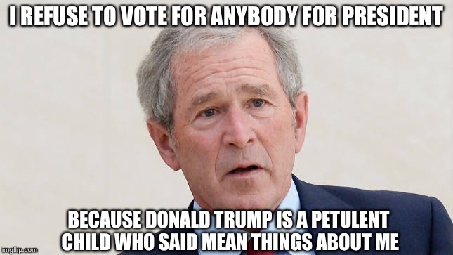 National security?..  Meh! | I REFUSE TO VOTE FOR ANYBODY FOR PRESIDENT; BECAUSE DONALD TRUMP IS A PETULENT CHILD WHO SAID MEAN THINGS ABOUT ME | image tagged in trump 2016,never trump | made w/ Imgflip meme maker