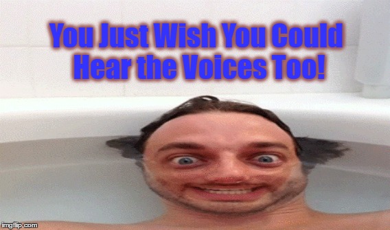 21st Century Schizoid Man | You Just Wish You Could Hear the Voices Too! | image tagged in crazy,mental ilness,multiple personality | made w/ Imgflip meme maker
