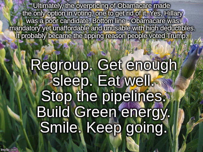 Ultimately, the overpricing of Obamacare made the only option in voting, one to get rid of it. Yes, Hillary was a poor candidate. Bottom line - Obamacare was mandatory yet unaffordable and unusable with high deductibles. It probably became the tipping reason people voted Trump. Regroup. Get enough sleep. Eat well. Stop the pipelines. Build Green energy. Smile. Keep going. | image tagged in keep on | made w/ Imgflip meme maker