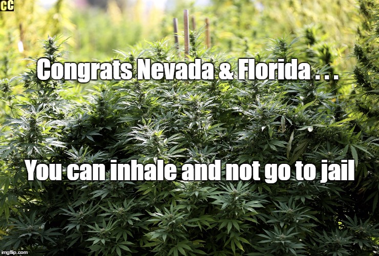 Marijuana  | Congrats Nevada & Florida . . . You can inhale and not go to jail | image tagged in pot,weed,legalize weed,normal,medical marijuana,legal pot | made w/ Imgflip meme maker