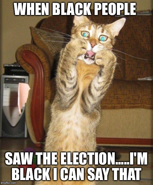 Scaredy Cat | WHEN BLACK PEOPLE; SAW THE ELECTION.....I'M BLACK I CAN SAY THAT | image tagged in scaredy cat | made w/ Imgflip meme maker