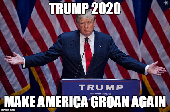 Donald Trump | TRUMP 2020; MAKE AMERICA GROAN AGAIN | image tagged in donald trump,election 2020,2020 elections,2020 | made w/ Imgflip meme maker