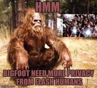 We have been trying to prove bigfoot exists... I think the reason why is that we are invading his privacy | HMM, BIGFOOT NEED MORE PRIVACY FROM FLASH HUMANS | image tagged in bigfoot,privacy plz,no cameras,no flashing,paparazzi | made w/ Imgflip meme maker