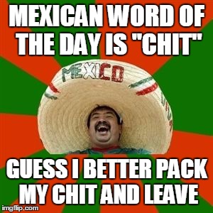 succesful mexican | MEXICAN WORD OF THE DAY IS "CHIT"; GUESS I BETTER PACK MY CHIT AND LEAVE | image tagged in succesful mexican | made w/ Imgflip meme maker
