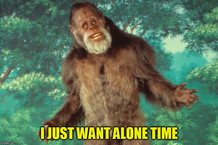 I JUST WANT ALONE TIME | made w/ Imgflip meme maker