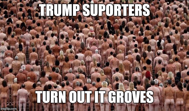 when toms says its time to party the towns like  | TRUMP SUPORTERS; TURN OUT IT GROVES | image tagged in when toms says its time to party the towns like | made w/ Imgflip meme maker
