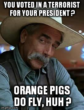 Sam Elliot | YOU VOTED IN A TERRORIST FOR YOUR PRESIDENT ? ORANGE PIGS DO FLY, HUH ? | image tagged in sam elliot,pigs,pig,dumptrump,nevertrump,donald trump the clown | made w/ Imgflip meme maker