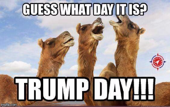 image tagged in trump day | made w/ Imgflip meme maker