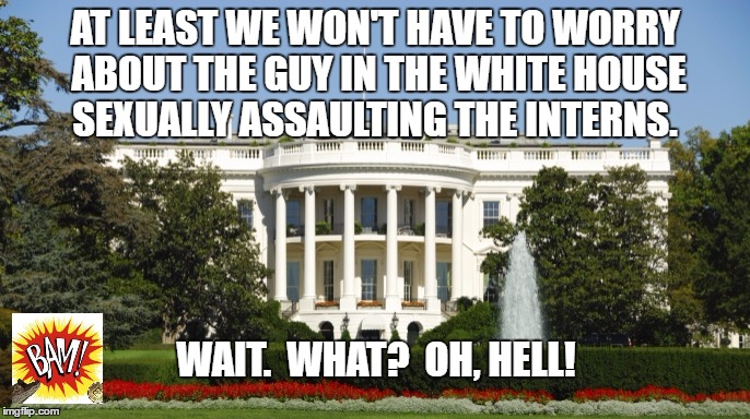 whitehouse | AT LEAST WE WON'T HAVE TO WORRY ABOUT THE GUY IN THE WHITE HOUSE SEXUALLY ASSAULTING THE INTERNS. WAIT.  WHAT?  OH, HELL! | image tagged in whitehouse | made w/ Imgflip meme maker