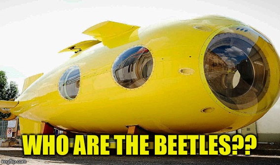 WHO ARE THE BEETLES?? | made w/ Imgflip meme maker