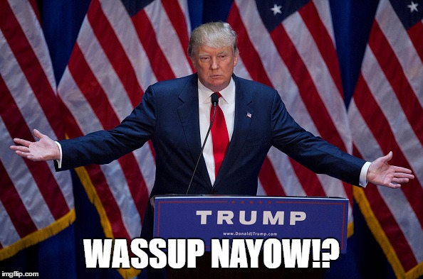 Yeah, pretty much. | WASSUP NAYOW!? | image tagged in donald trump | made w/ Imgflip meme maker