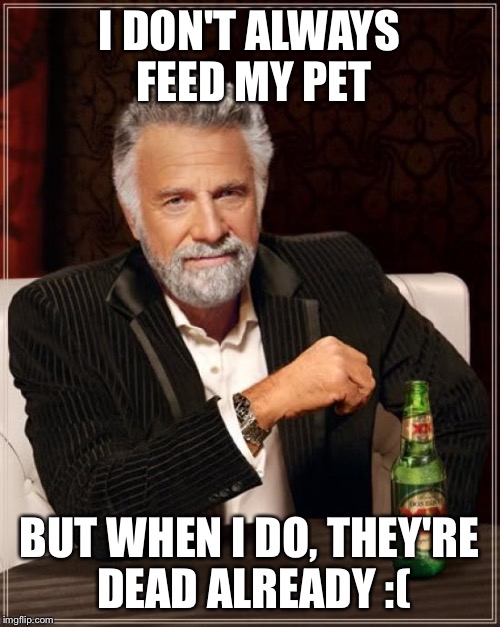 The Most Interesting Man In The World Meme | I DON'T ALWAYS FEED MY PET BUT WHEN I DO, THEY'RE DEAD ALREADY :( | image tagged in memes,the most interesting man in the world | made w/ Imgflip meme maker