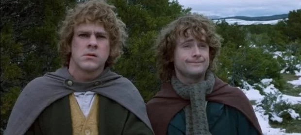 Pippin and merry Blank Meme Template