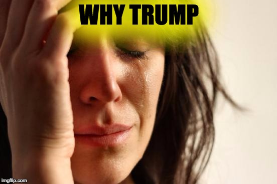 First World Problems | WHY TRUMP | image tagged in memes,first world problems | made w/ Imgflip meme maker
