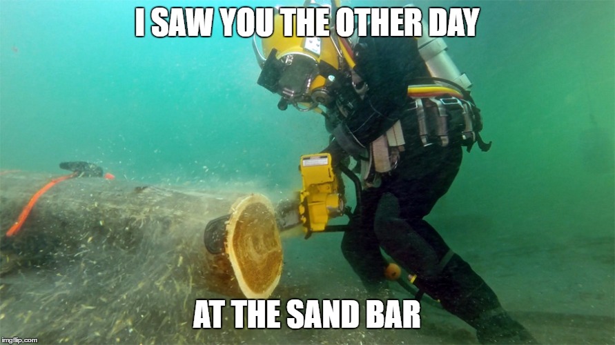 I SAW YOU THE OTHER DAY AT THE SAND BAR | made w/ Imgflip meme maker