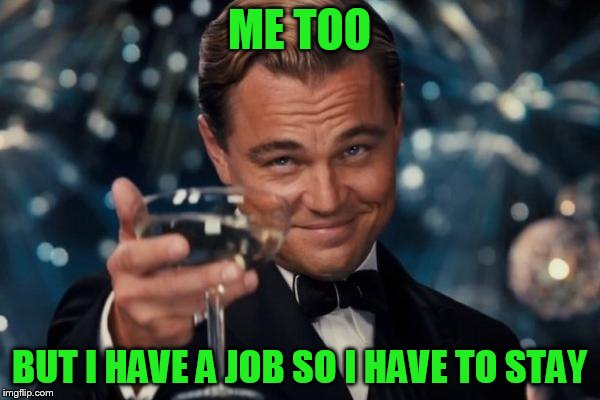 Leonardo Dicaprio Cheers Meme | ME TOO BUT I HAVE A JOB SO I HAVE TO STAY | image tagged in memes,leonardo dicaprio cheers | made w/ Imgflip meme maker